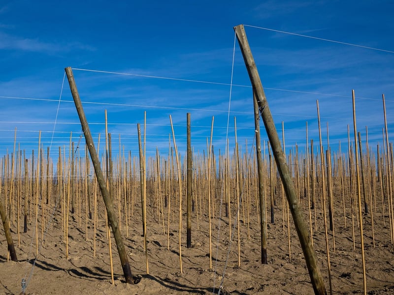 Creating Trellises