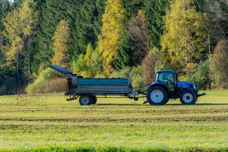 Fertilizing Schedule