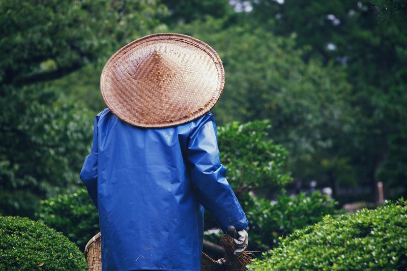 Gardening Meetups